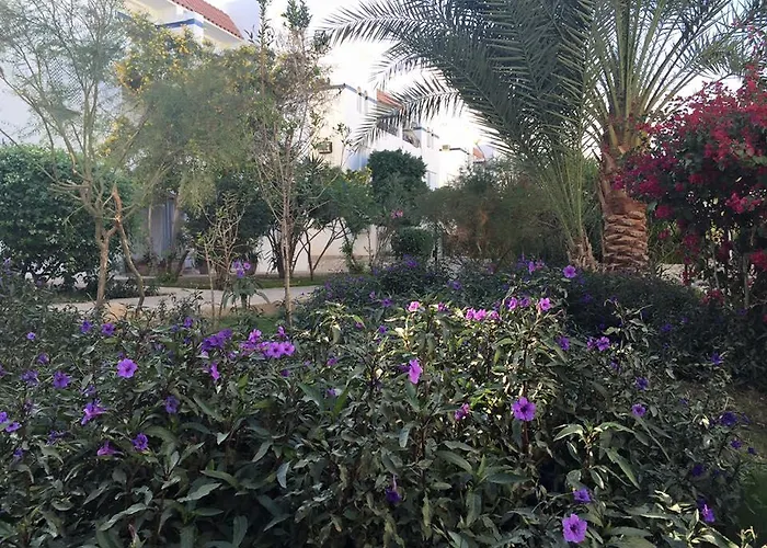 Riviera Üdülőközpont 3*